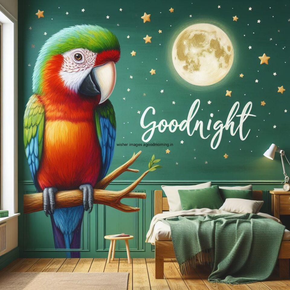 parrot is seating in the room with star good night images quotes text is placed night vibes