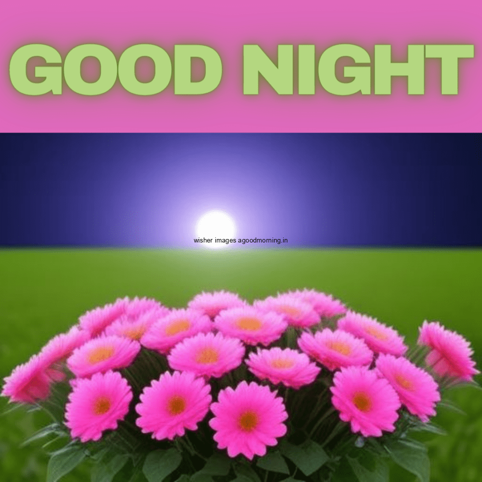 pink flowers in the leafs with good night images with good night text