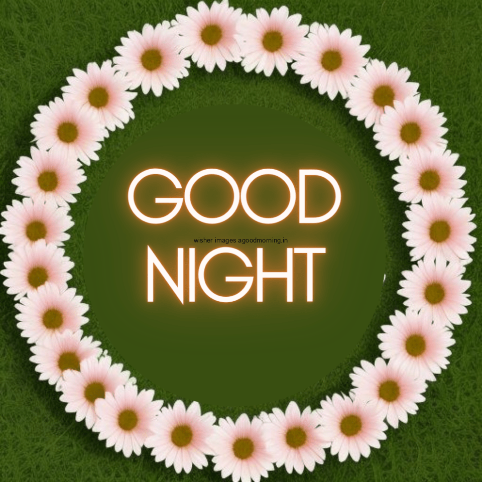 round-circle-create-the-roses-in-the-middle-good-night-images-good-960x960 50+ HD Good Night Images Free Download