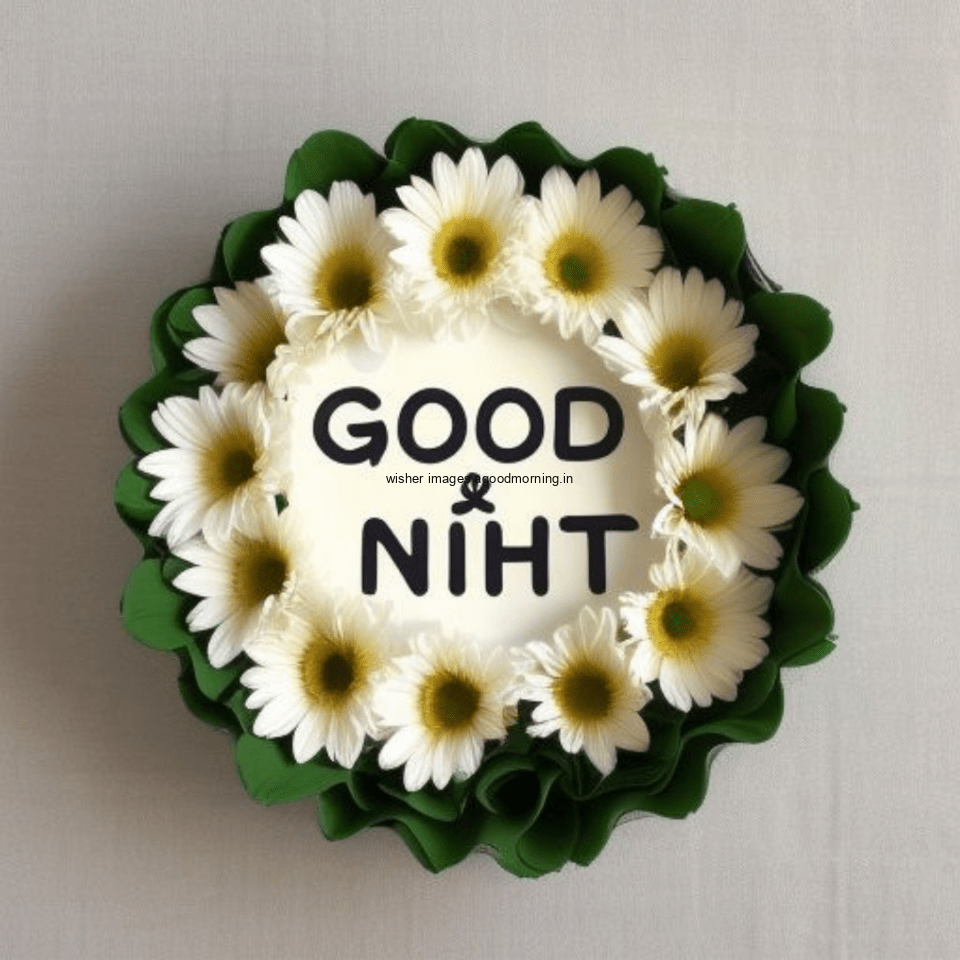 round-circle-create-the-roses-in-the-middle-good-night-images-white-sunflowers-960x960 50+ HD Good Night Images Free Download