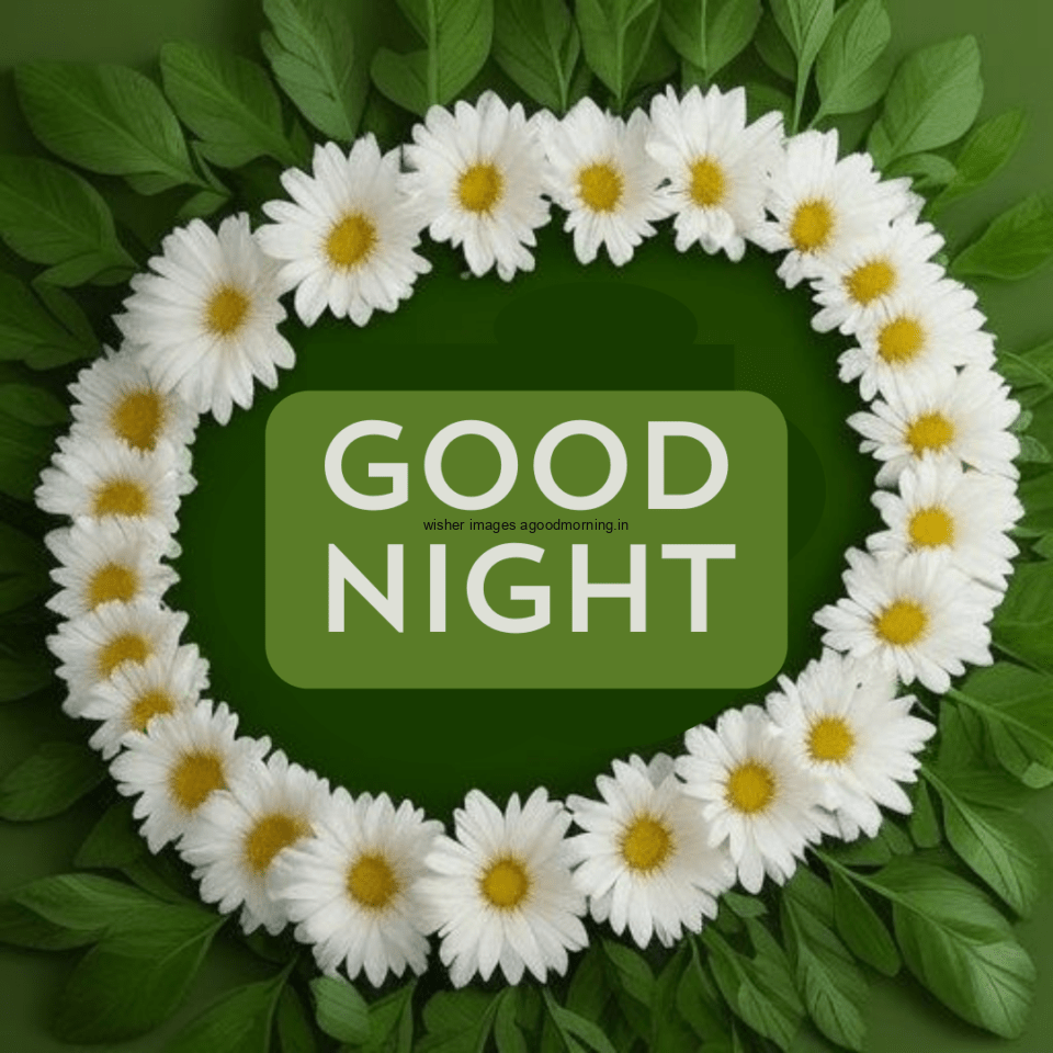 round-circle-create-the-white-flower-in-the-middle-good-night-images-960x960 50+ HD Good Night Images Free Download