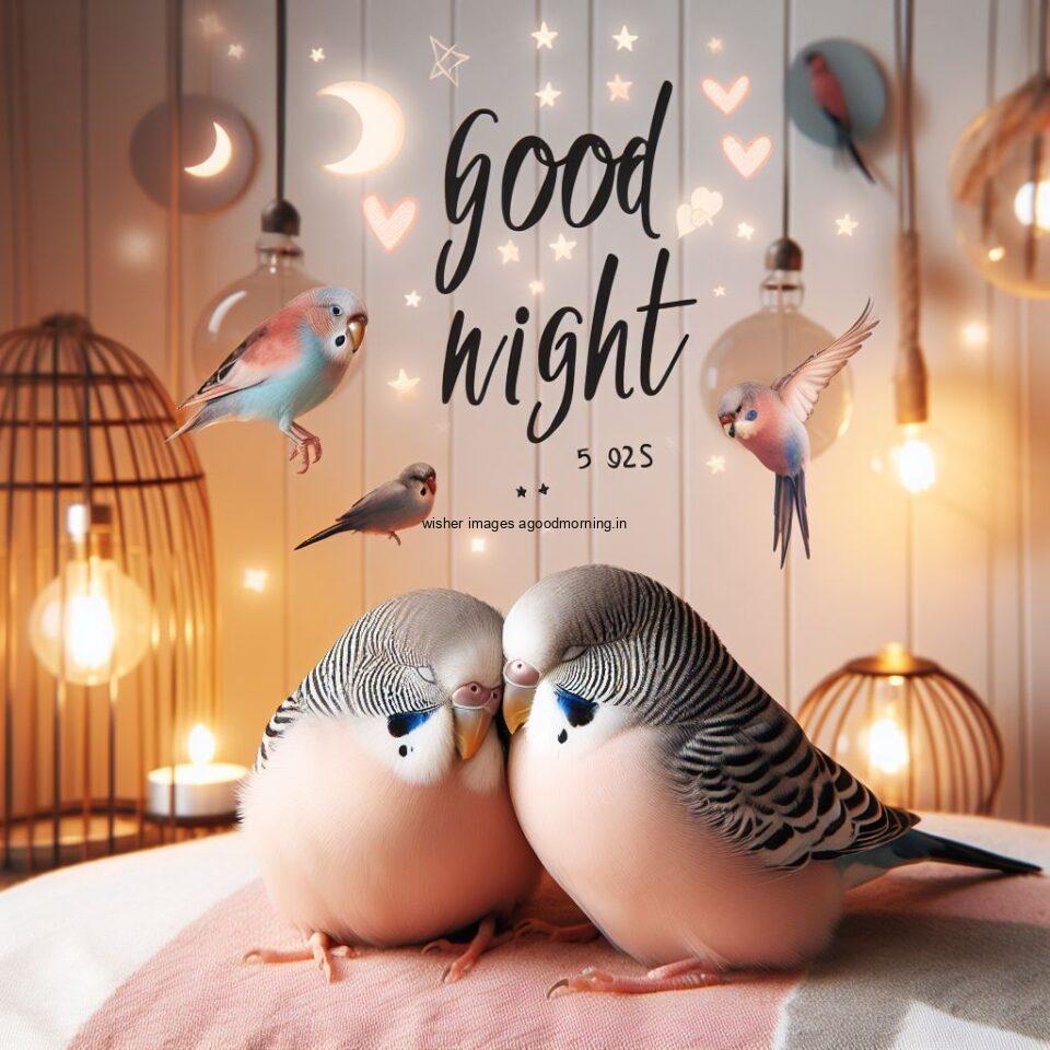 two nightingale is seating in the room with star good night images quotes text is placed night vibes