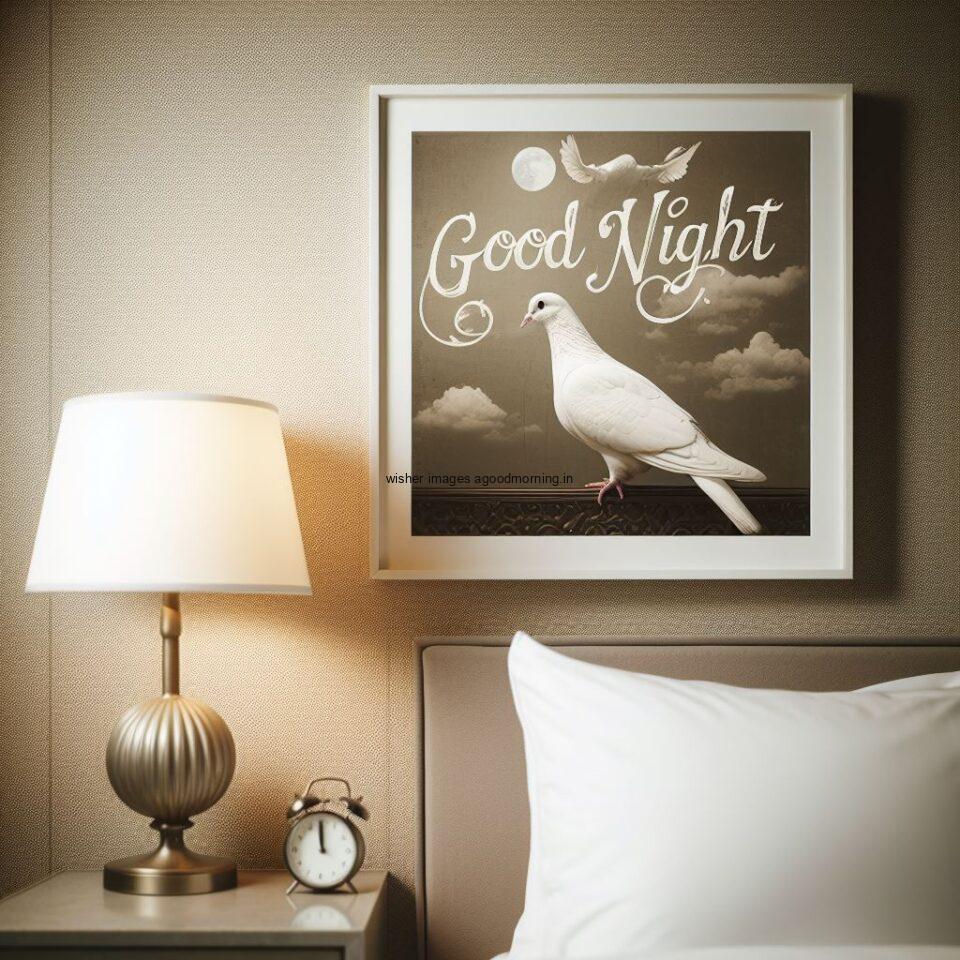 white columbidae is seating in the room with star good night images quotes text is placed night vibes