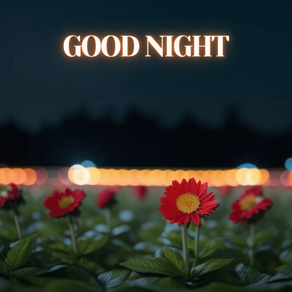 yellow flowers in the leafs with good night images with good night