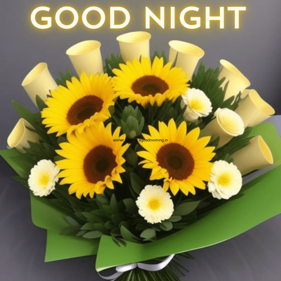 yellow-sunflowers-in-the-leafs-with-good-night-images-with-good-night-text-960x960 50+ HD Good Night Images Free Download