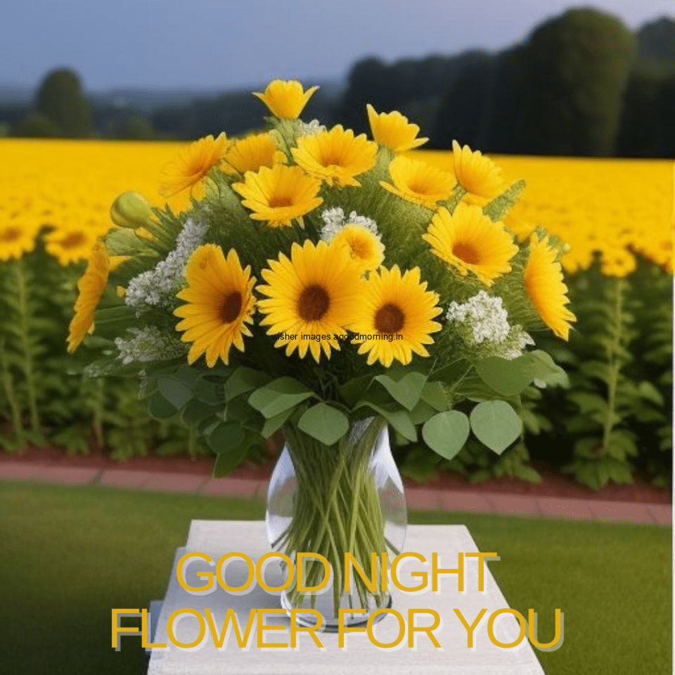 yellow sunflowers in the leafs with good night images with good night text behidn the flowers many flowers