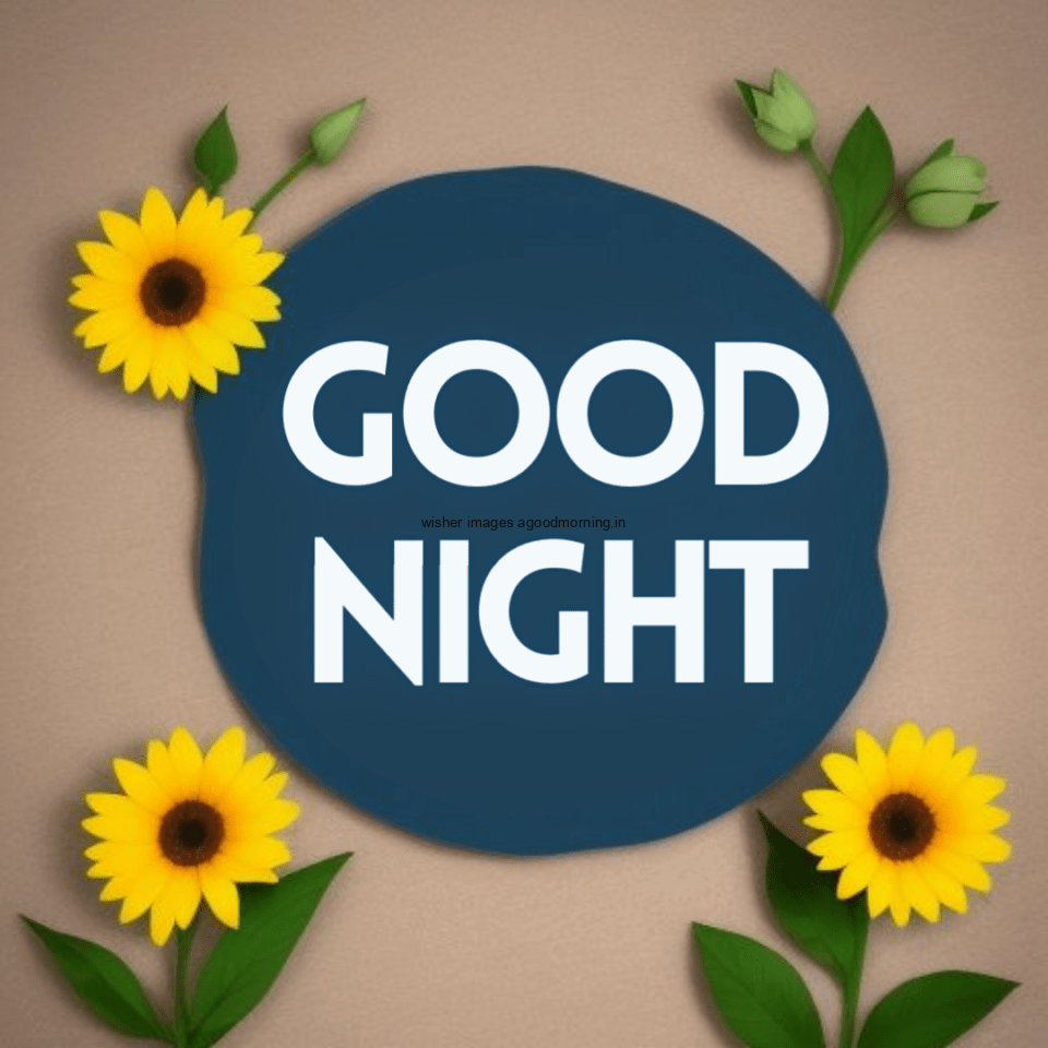 yellow-sunflowers-in-the-leafs-with-good-night-images-with-good-night-text-every-edge-sunflowers-960x960 50+ HD Good Night Images Free Download