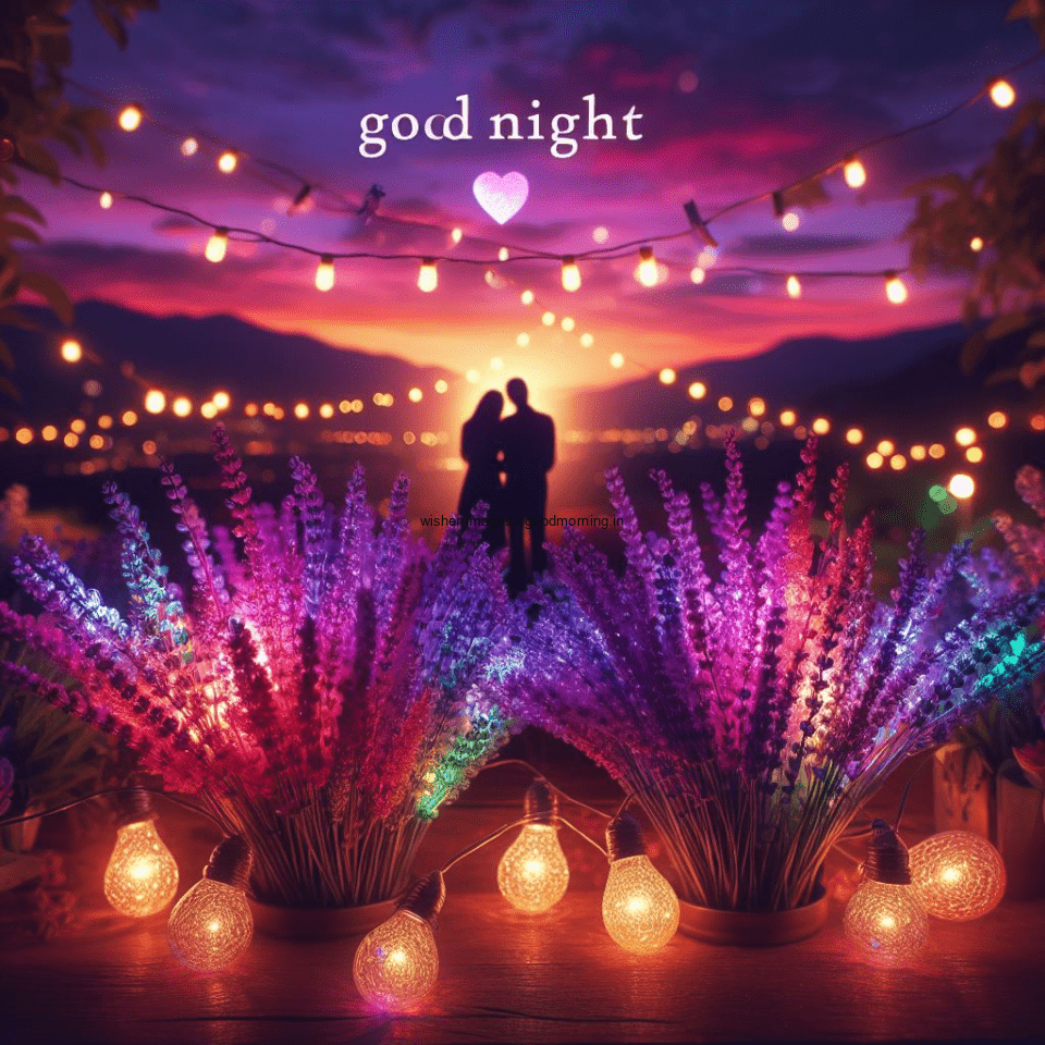 good night image amazing rose and lavender flower images with colour night stars and candles night vibes ()