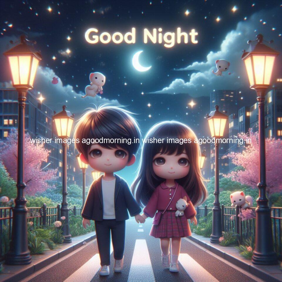 good night couple image with behind the beautifull moon the couple is walking in road with good night ()