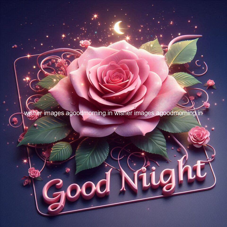 Good night rose love images beautiful good night flower beautiful background night vibes ()