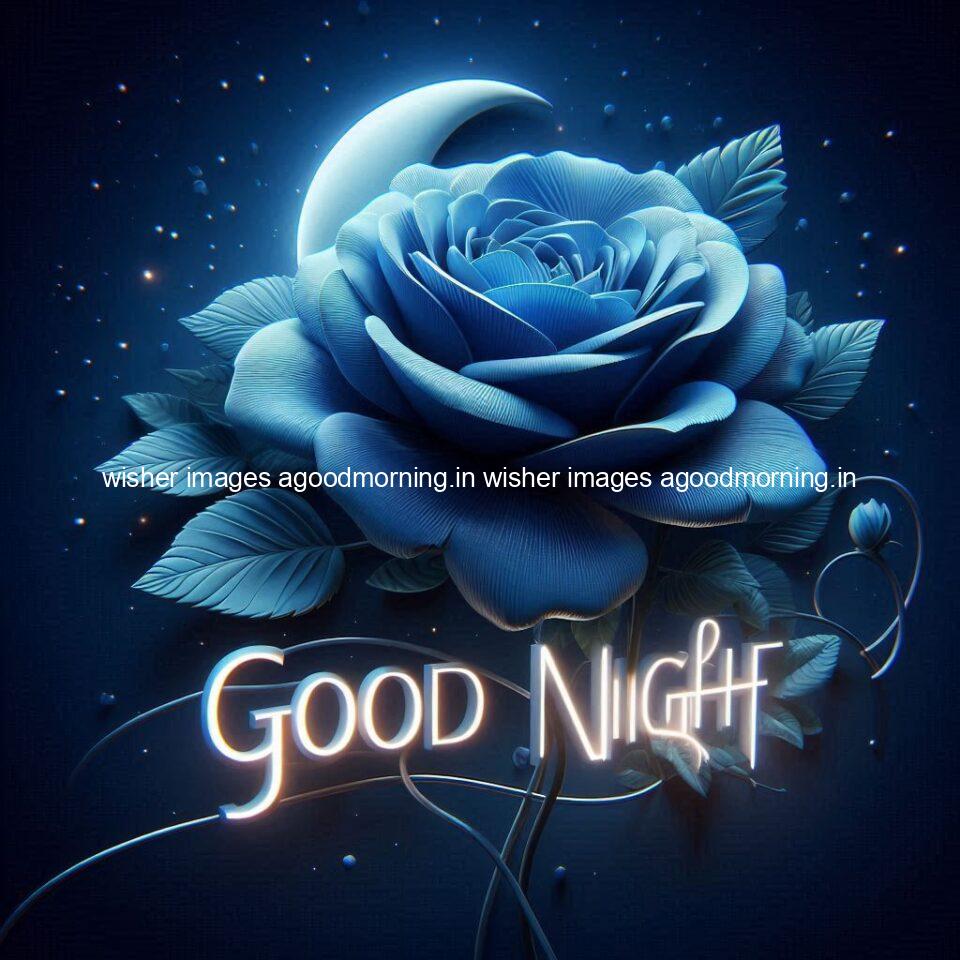 Good night rose love images beautiful good night flower beautiful background night vibes ()