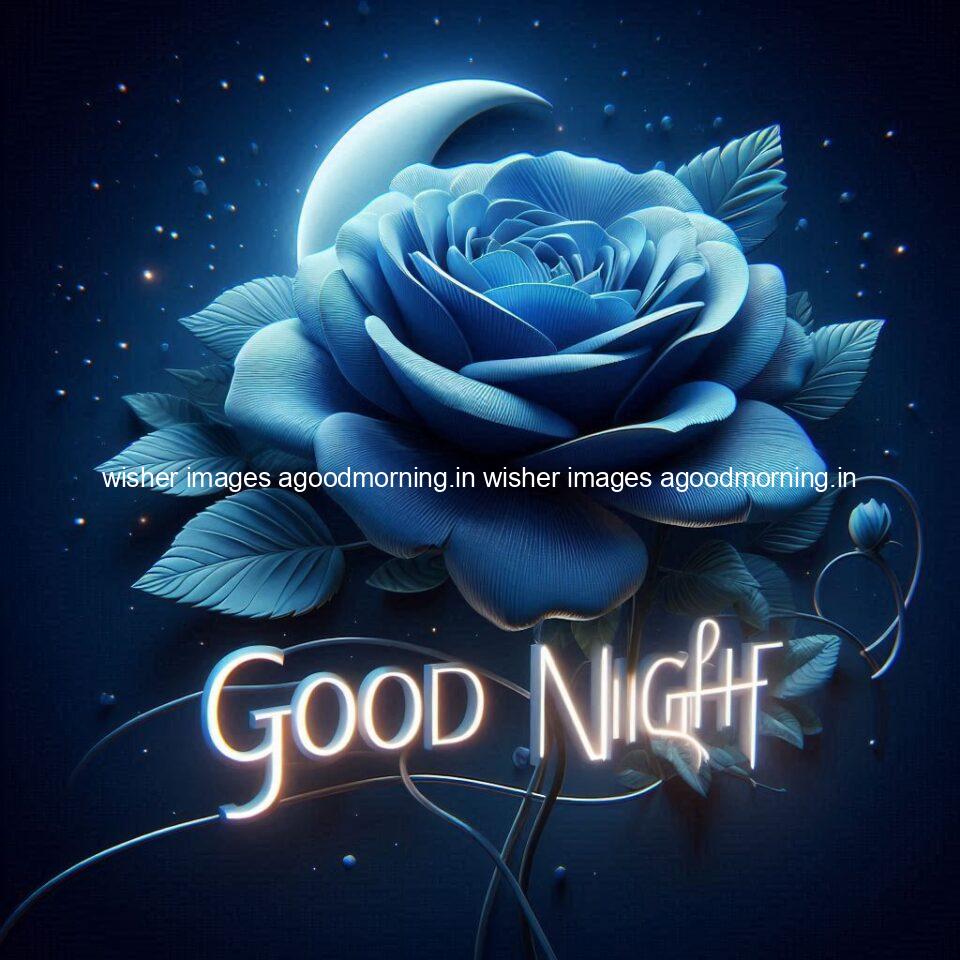 100+ Good Night Rose love Images Free Download 20 Good night rose love images beautiful good night flower beautiful background night vibes ()