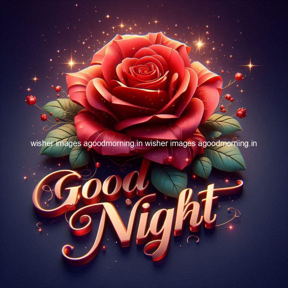 Good night rose love images beautiful good night flower beautiful background night vibes ()