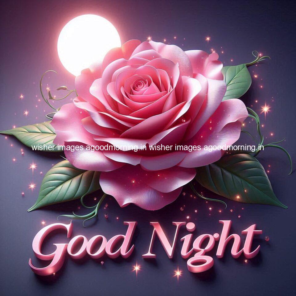 Good night rose love images beautiful good night flower beautiful background night vibes ()