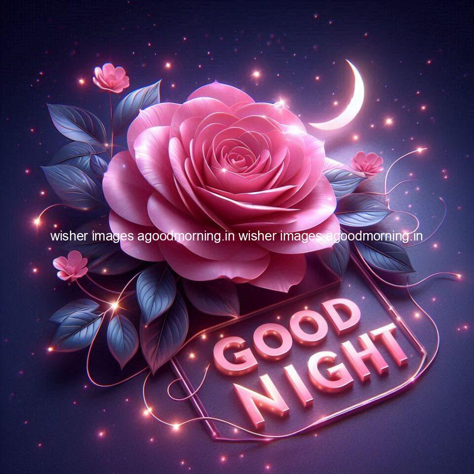 Good night rose love images beautiful good night flower beautiful background night vibes ()