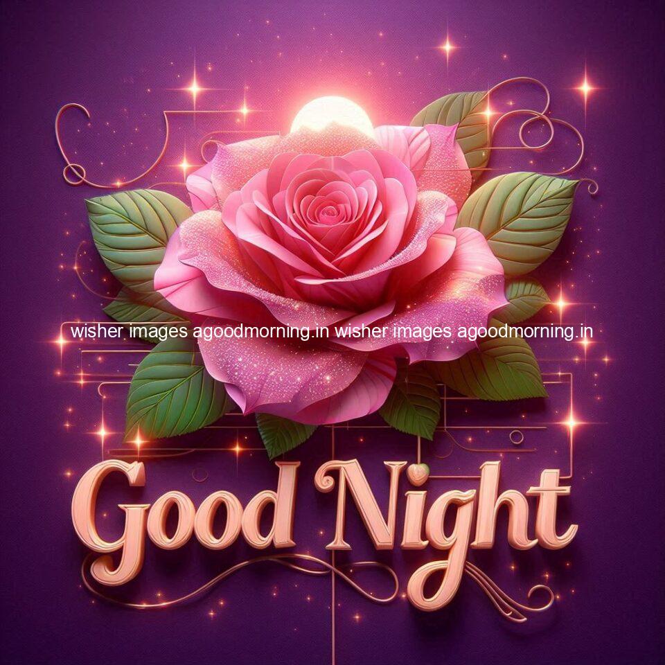 Good night rose love images beautiful good night flower beautiful background night vibes ()