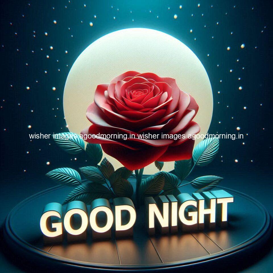 Good night rose love images beautiful good night flower beautiful background night vibes ()