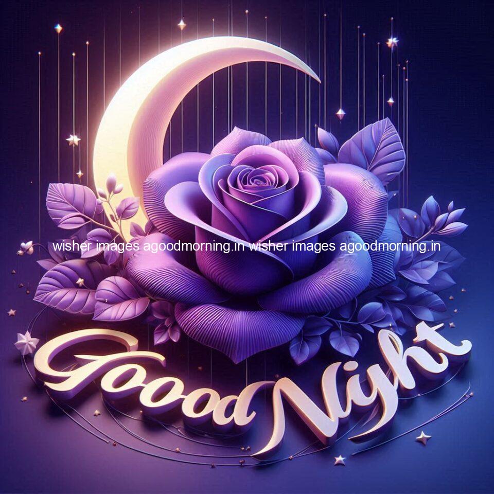 Good night rose love images beautiful good night flower beautiful background night vibes ()