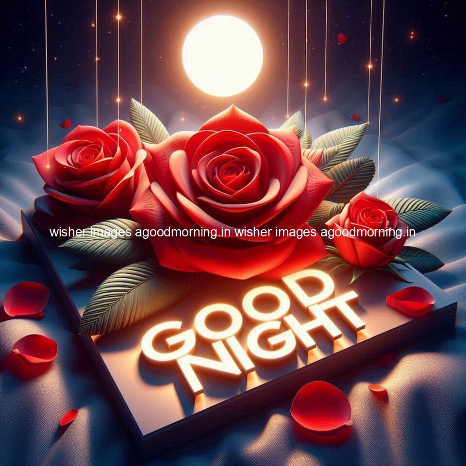 Good night rose love images beautiful good night flower beautiful background night vibes ()