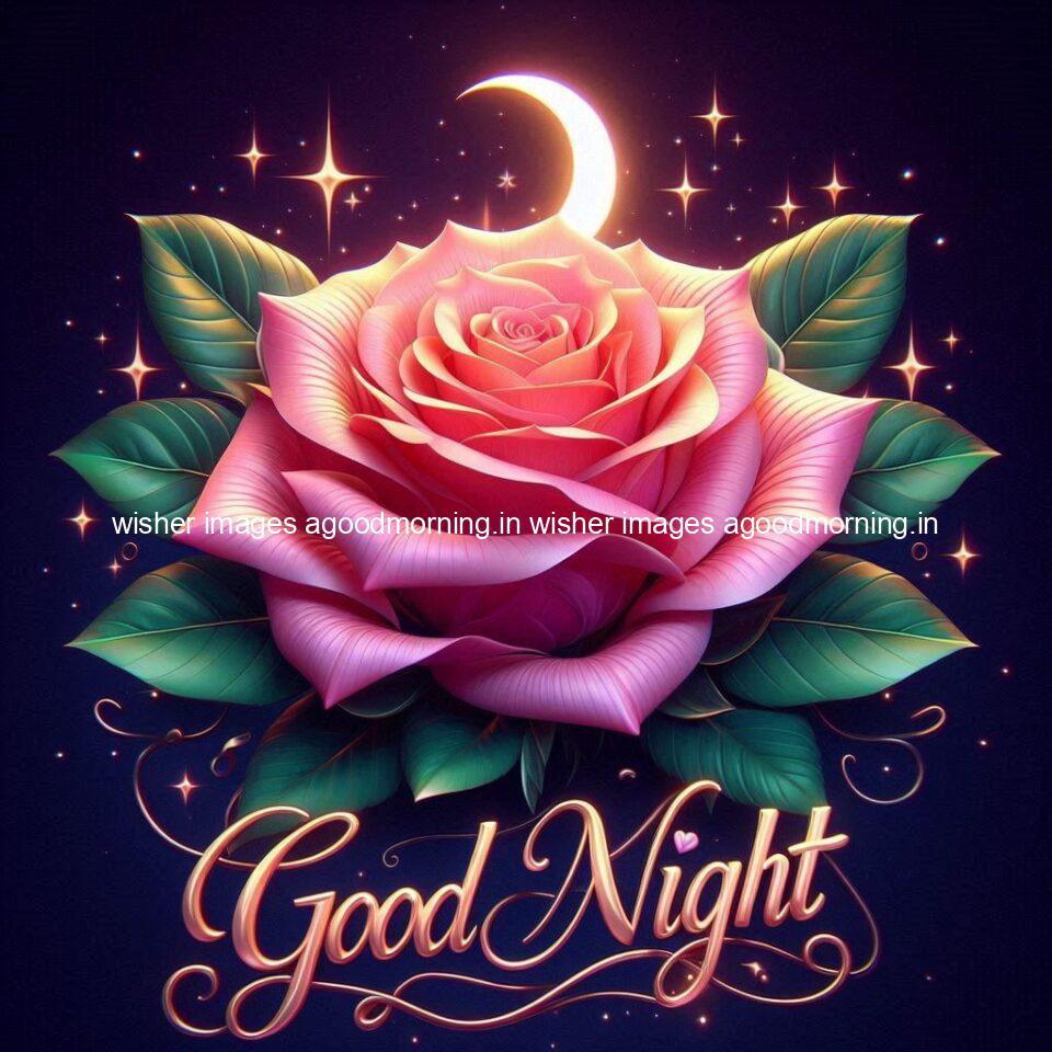 100+ Good Night Rose love Images Free Download 76 Good night rose love images beautiful good night flower beautiful background night vibes ()
