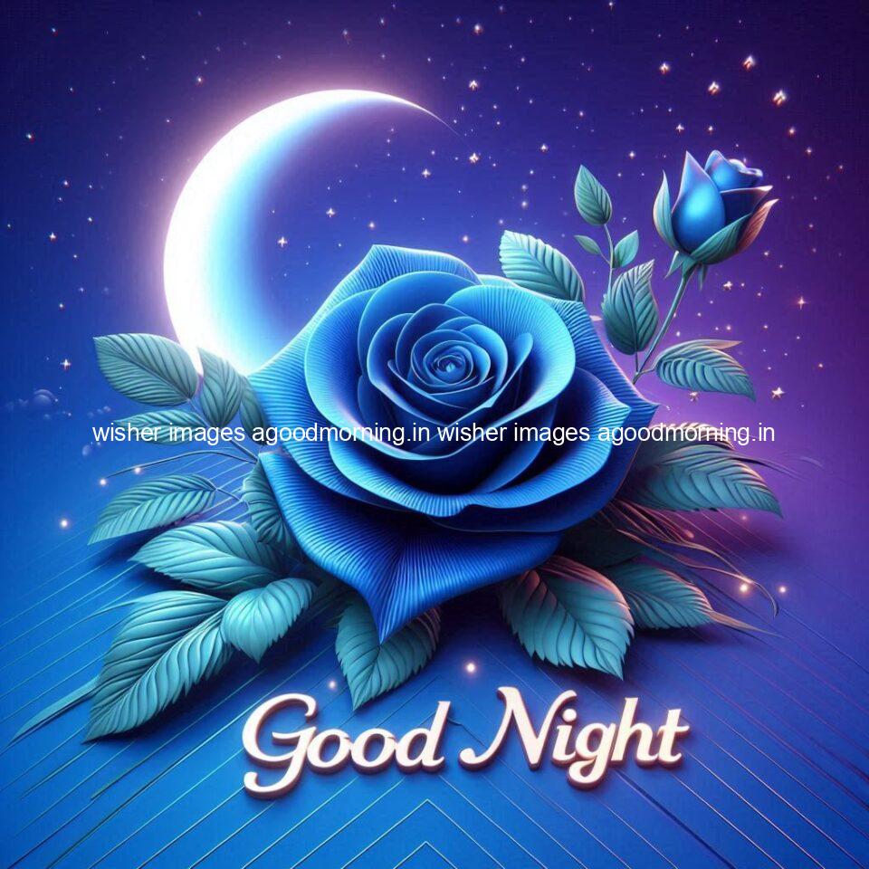 Good night rose love images beautiful good night flower beautiful background night vibes ()