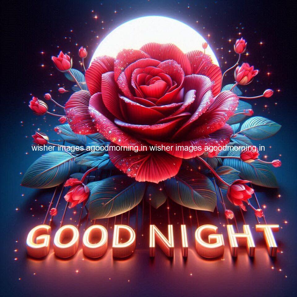 Good night rose love images beautiful good night flower beautiful background night vibes ()