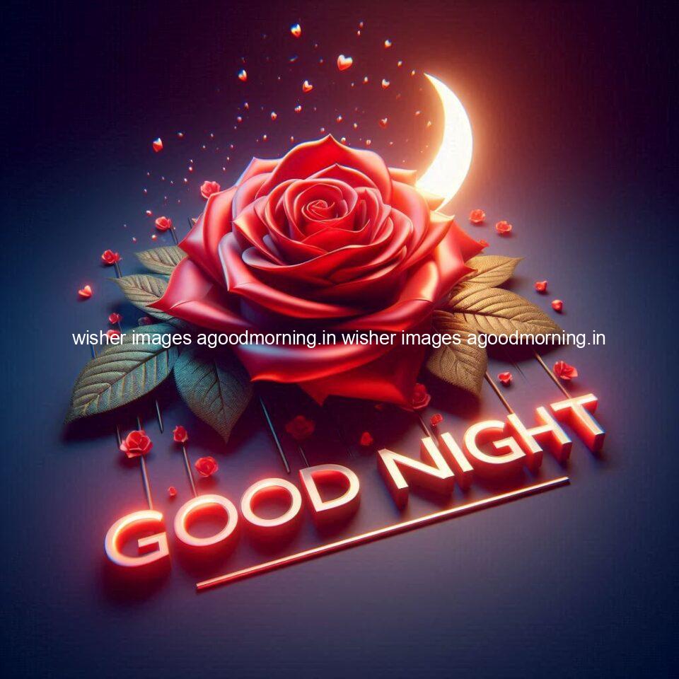 Good night rose love images beautiful good night flower beautiful background night vibes ()