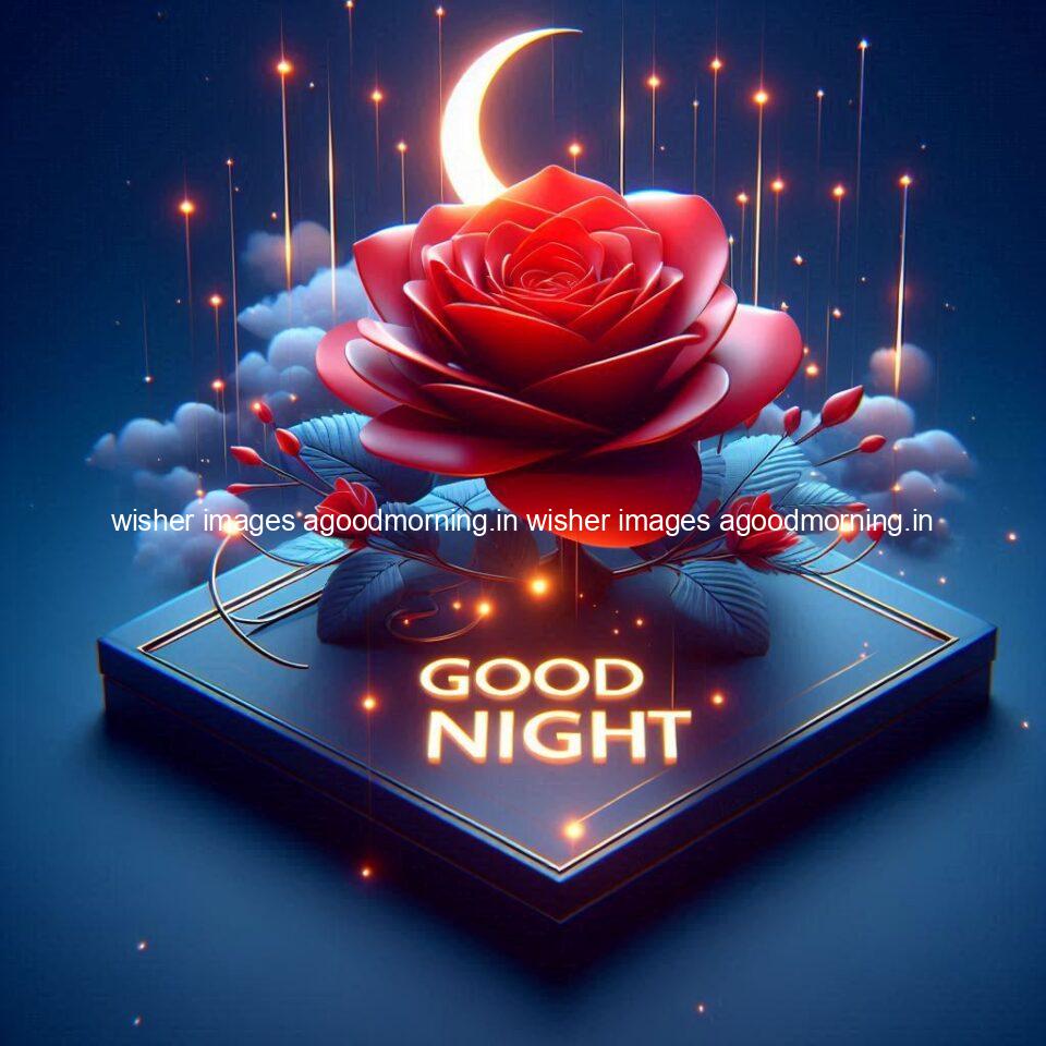 Good night rose love images beautiful good night flower beautiful background night vibes ()