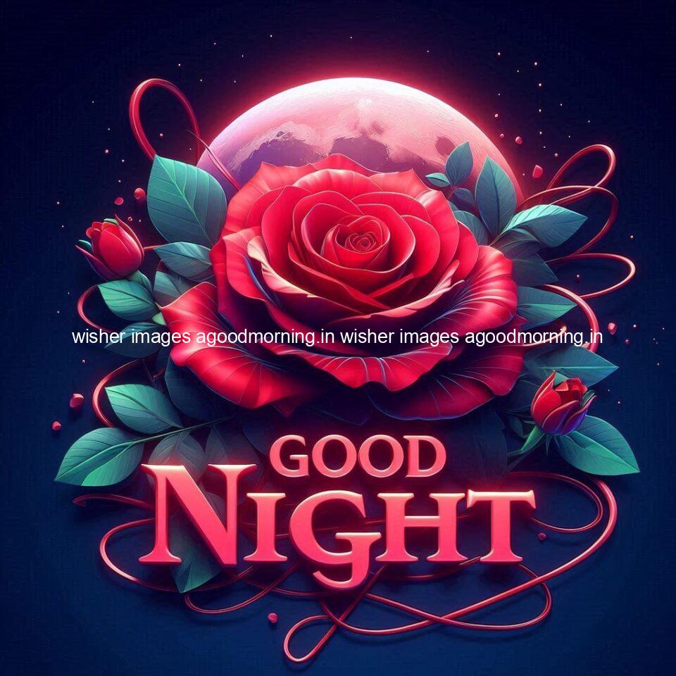 Good night rose love images beautiful good night flower beautiful background night vibes ()