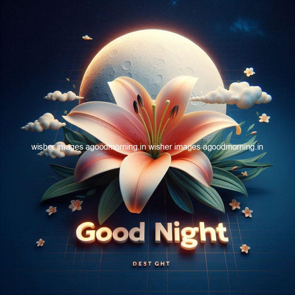 100+ Good Night Rose love Images Free Download 96 Good night rose love images beautiful good night flower beautiful background night vibes ()