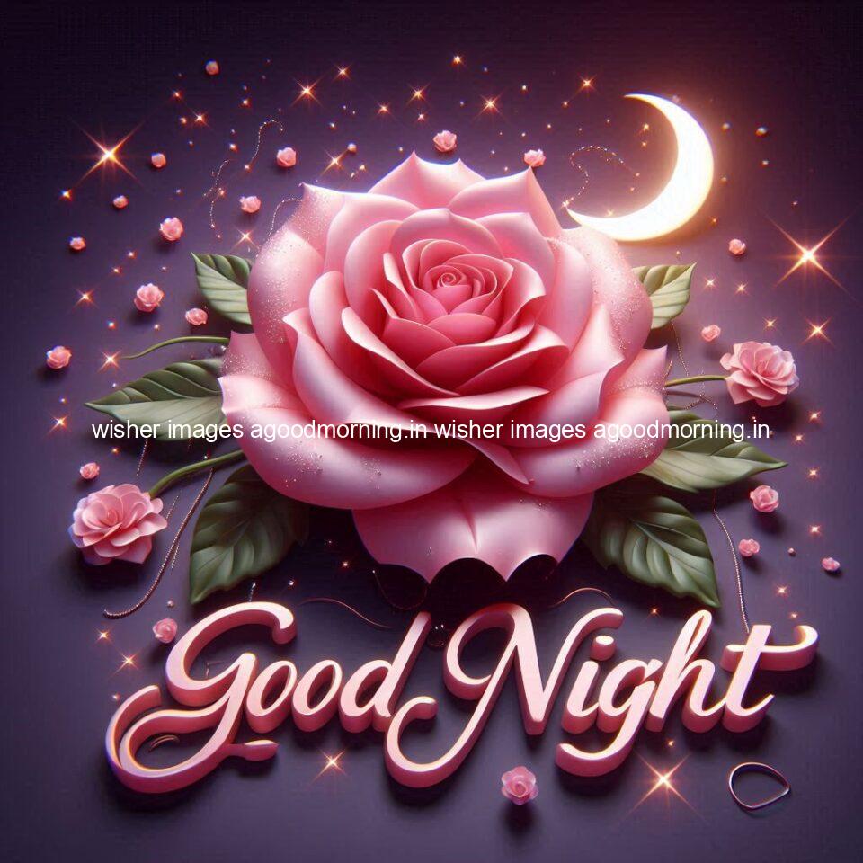 Good night rose love images beautiful good night flower beautiful background night vibes ()