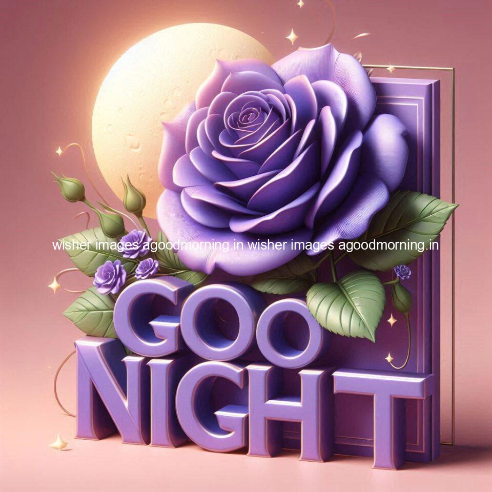 Good night rose love images beautiful good night flower beautiful background night vibes ()