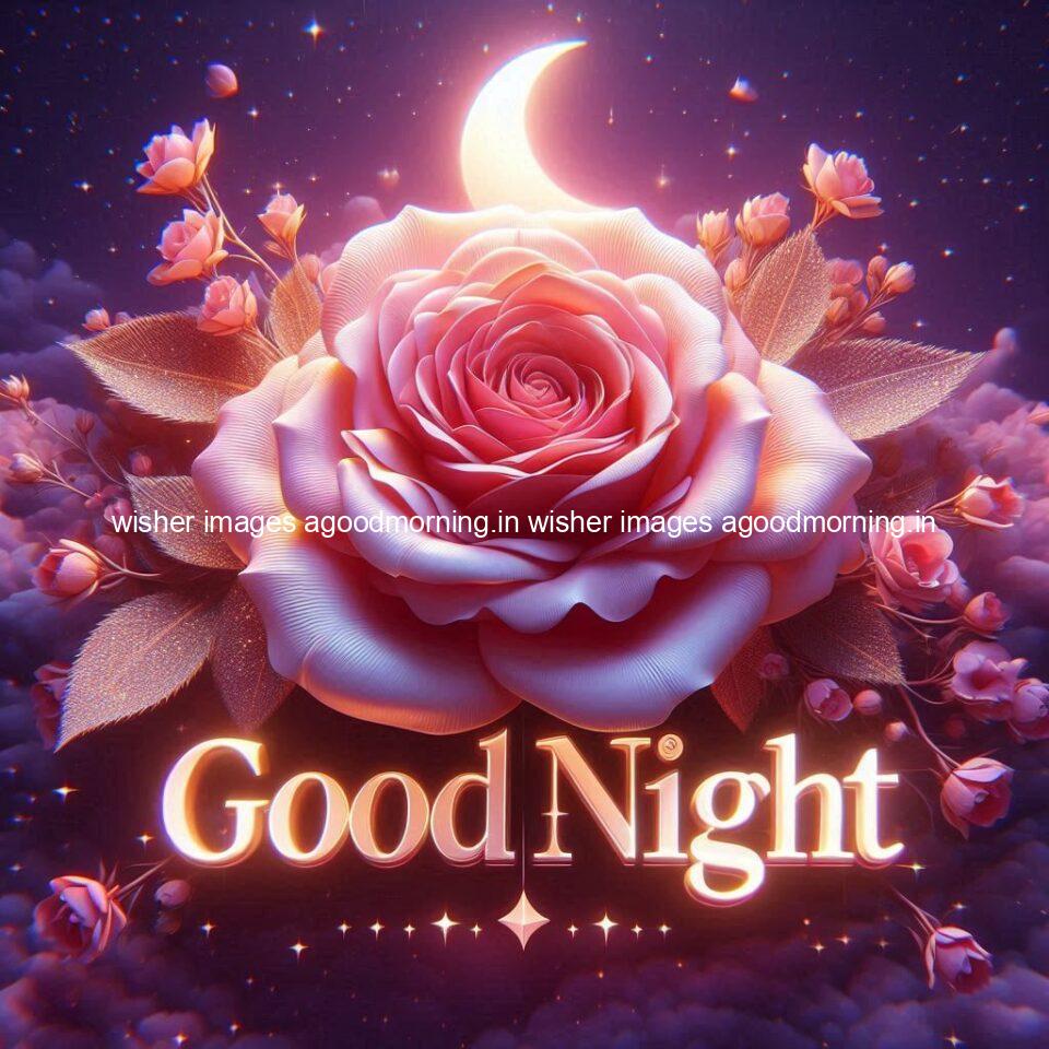 Good night rose love images beautiful good night flower beautiful background night vibes ()