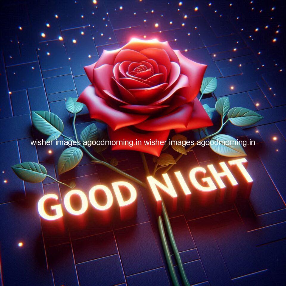 Good night rose love images beautiful good night flower beautiful background night vibes ()