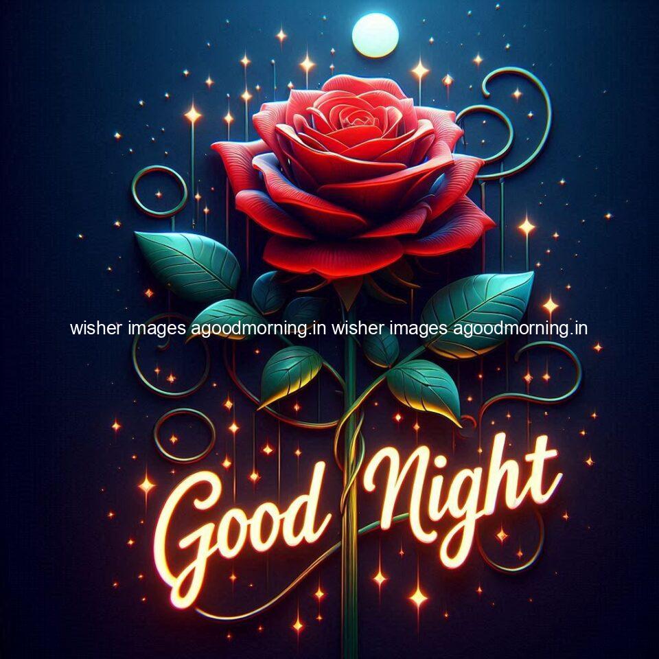 Good night rose love images beautiful good night flower beautiful background night vibes ()