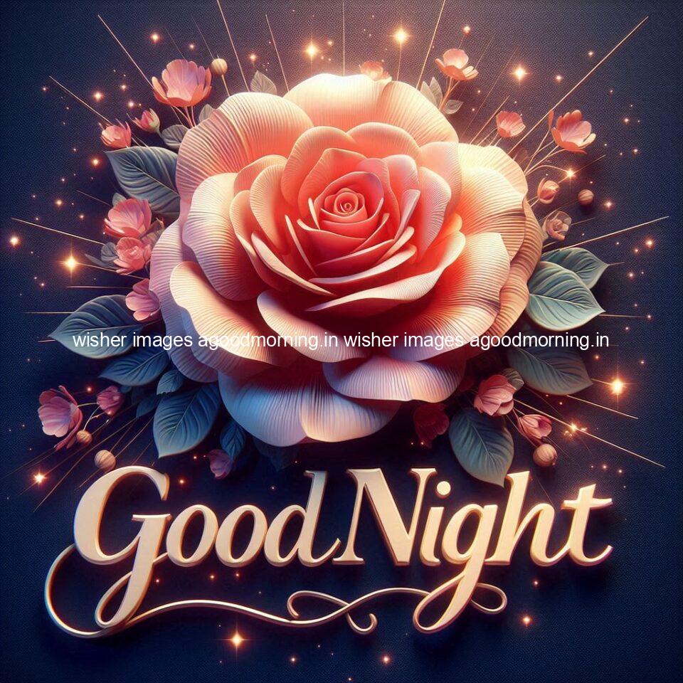 Good night rose love images beautiful good night flower beautiful background night vibes ()