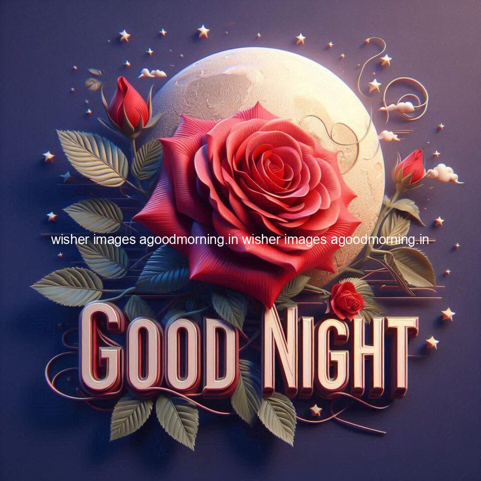 Good night rose love images beautiful good night flower beautiful background night vibes ()