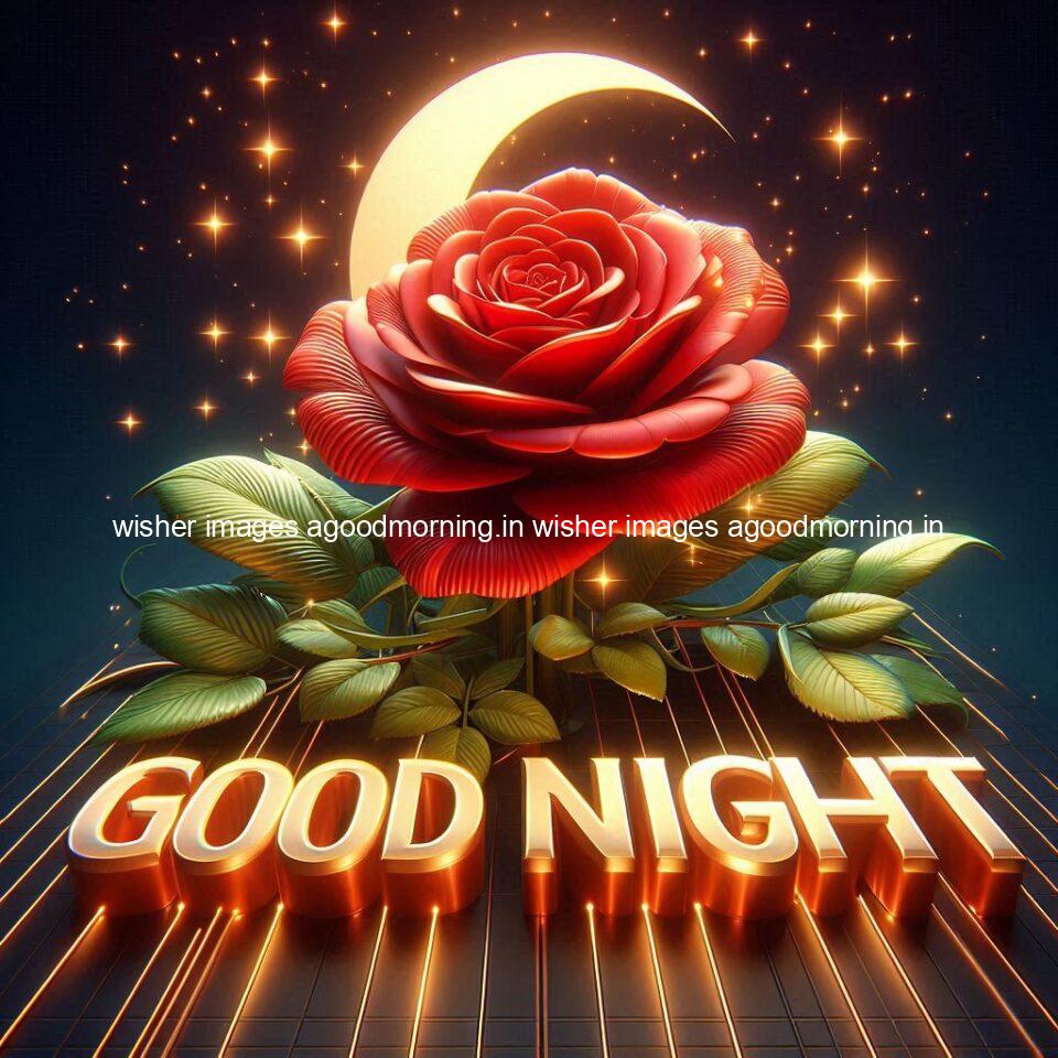 Good night rose love images beautiful good night flower beautiful background night vibes ()