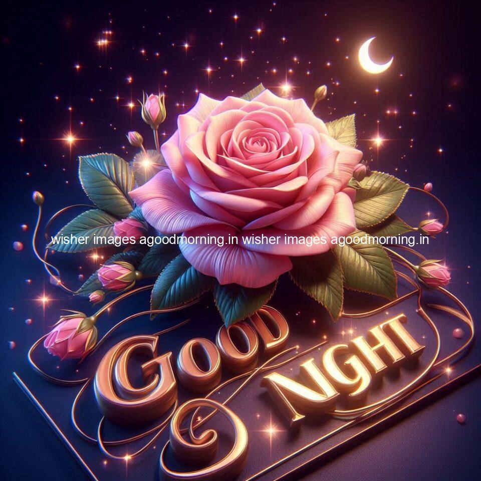 Good night rose love images beautiful good night flower beautiful background night vibes ()