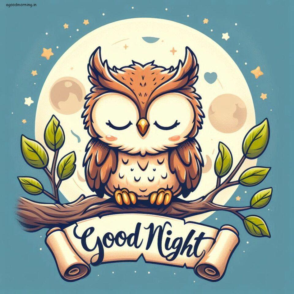 100+ Good Night with Owl Free Download 30 Good night with owl images good night vibes with amazing background and stylish design ()