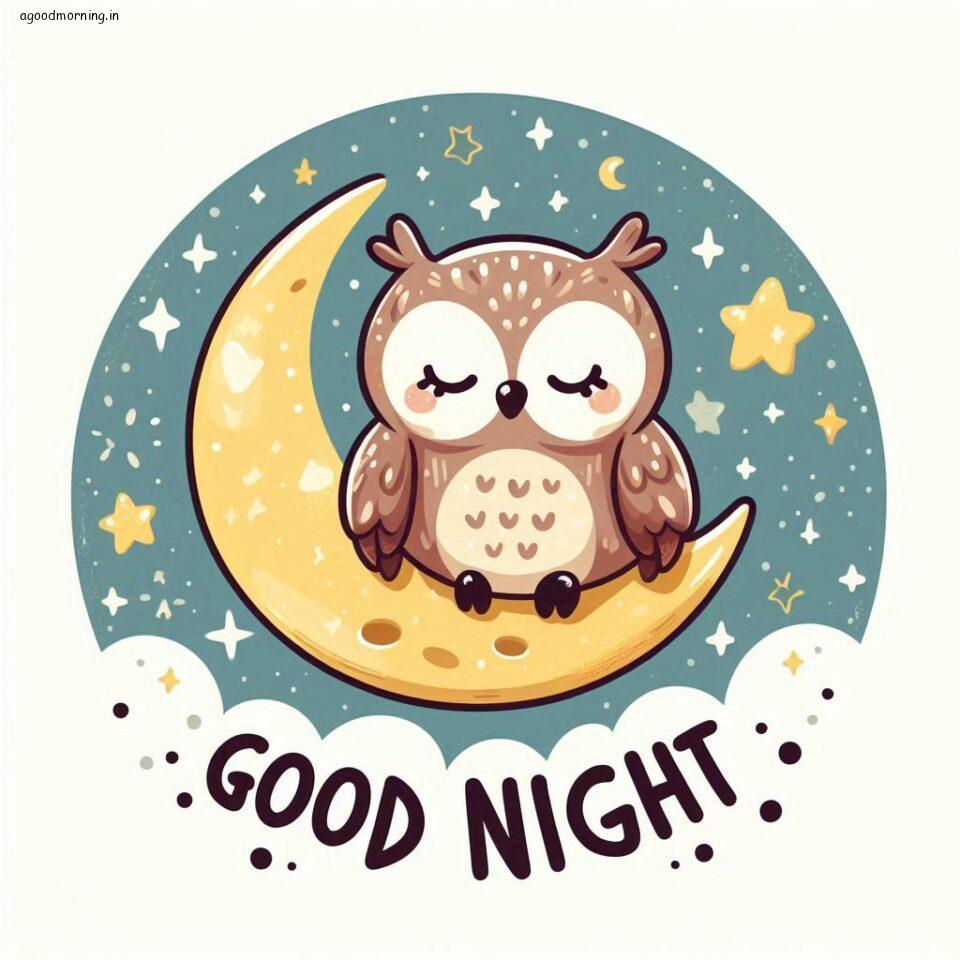 100+ Good Night with Owl Free Download 29 Good night with owl images good night vibes with amazing background and stylish design ()