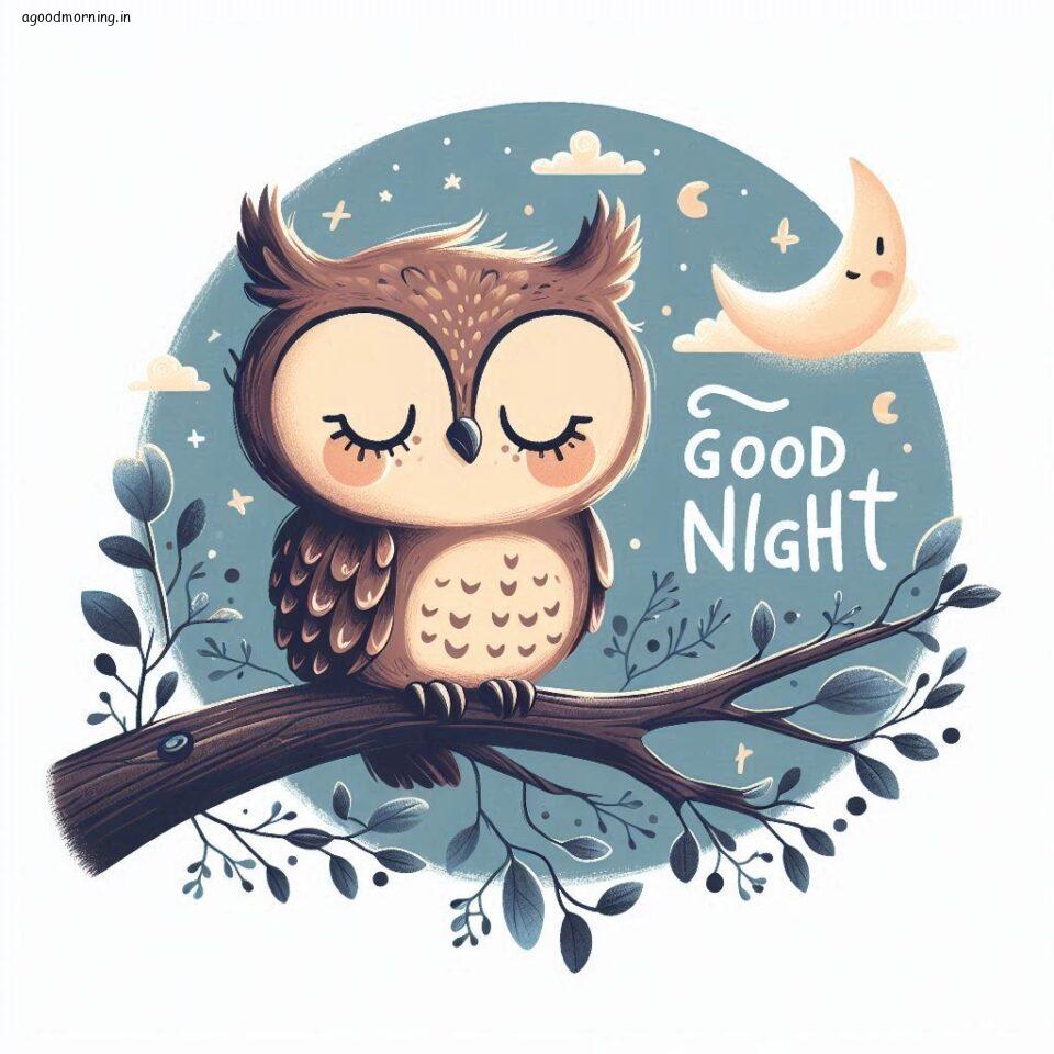 100+ Good Night with Owl Free Download 3 Good night with owl images good night vibes with amazing background and stylish design ()