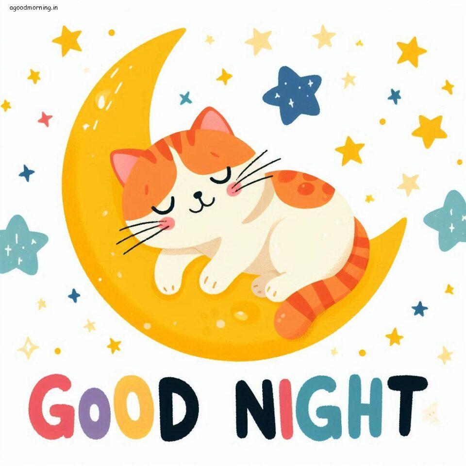 100+ Good Night with Owl Free Download 15 Good night with owl images good night vibes with amazing background and stylish design ()