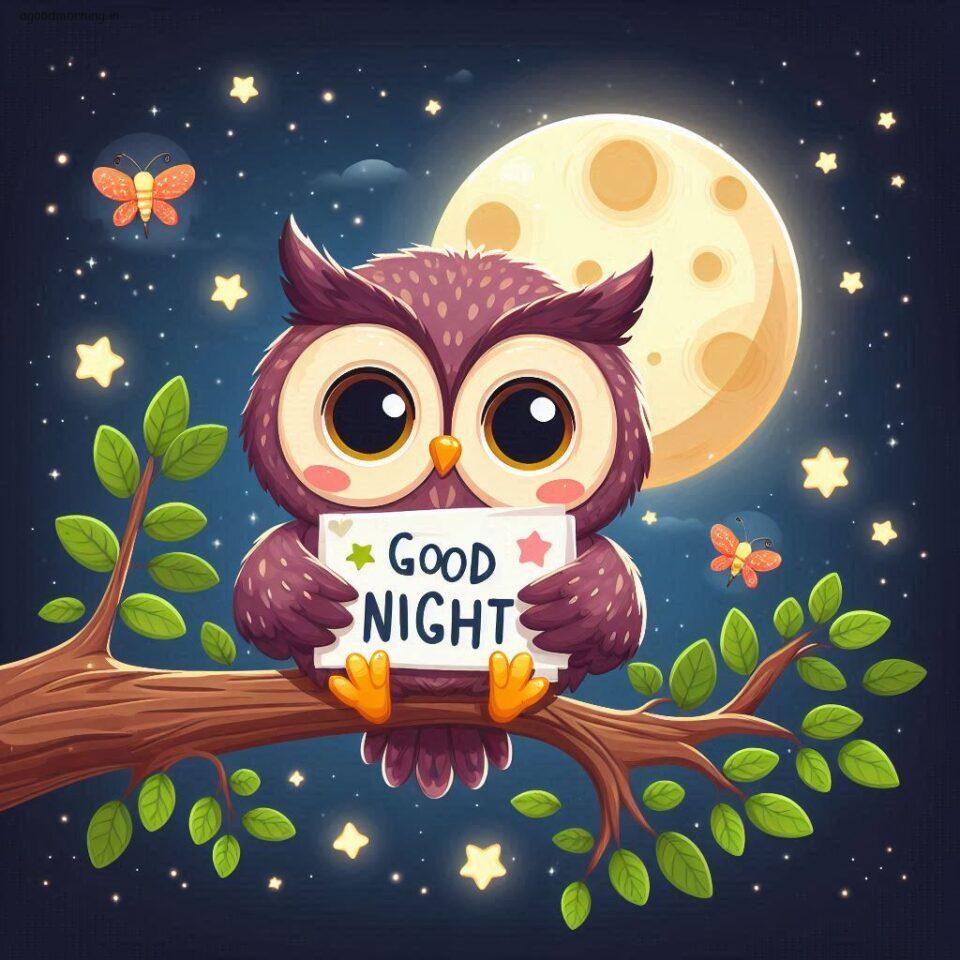 100+ Good Night with Owl Free Download 12 Good night with owl images good night vibes with amazing background and stylish design ()