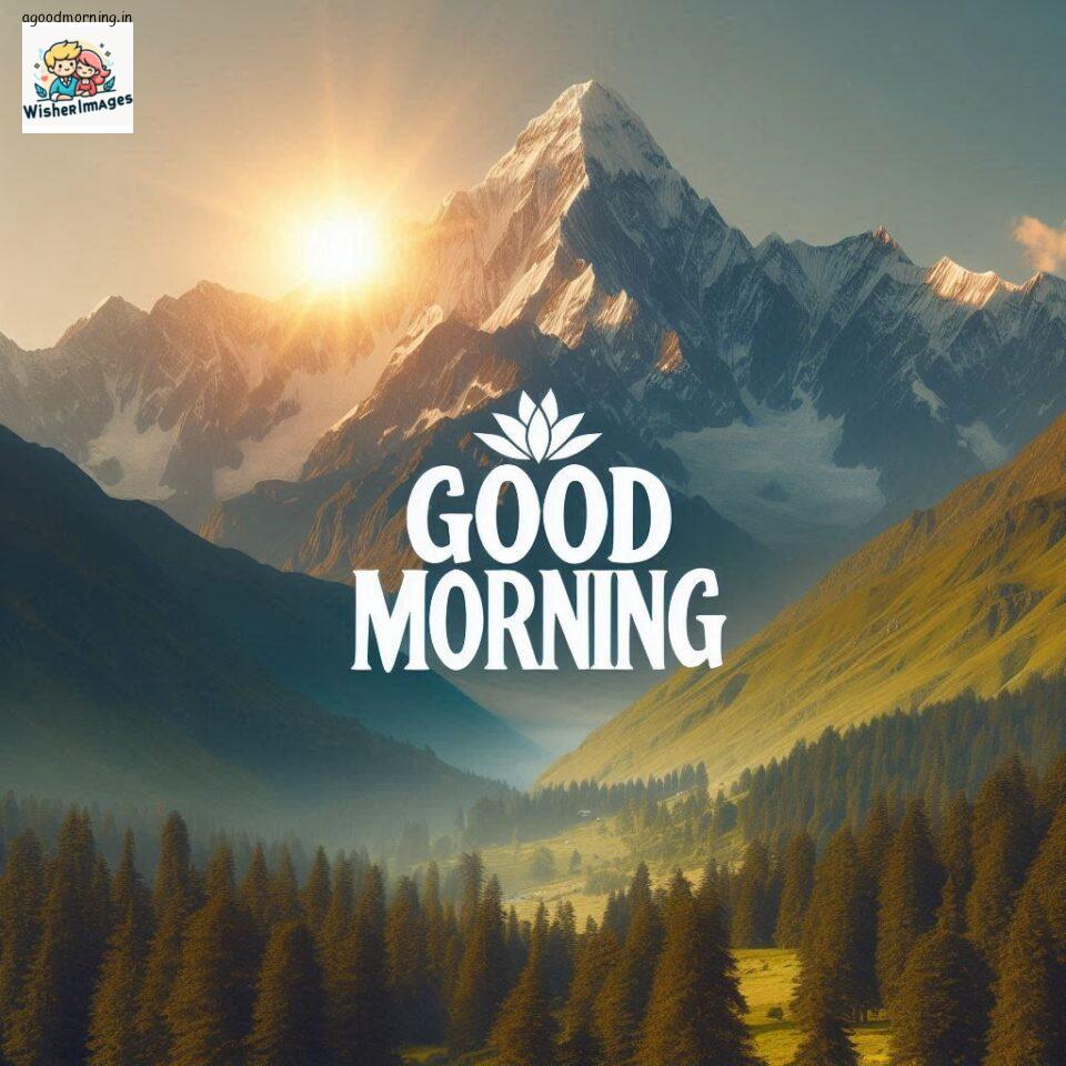125+ Good Morning Mountain Images HD Free Download 91 good morning mountain images hd good morning forest images amazing good morning beautiful parrot images ()
