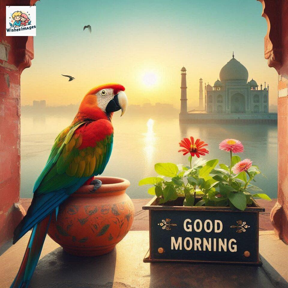 good-morning-mountain-images-hd-good-morning-forest-images-amazing-good-morning-beautiful-parrot-images_53-960x960 125+ Good Morning Mountain Images HD Free Download