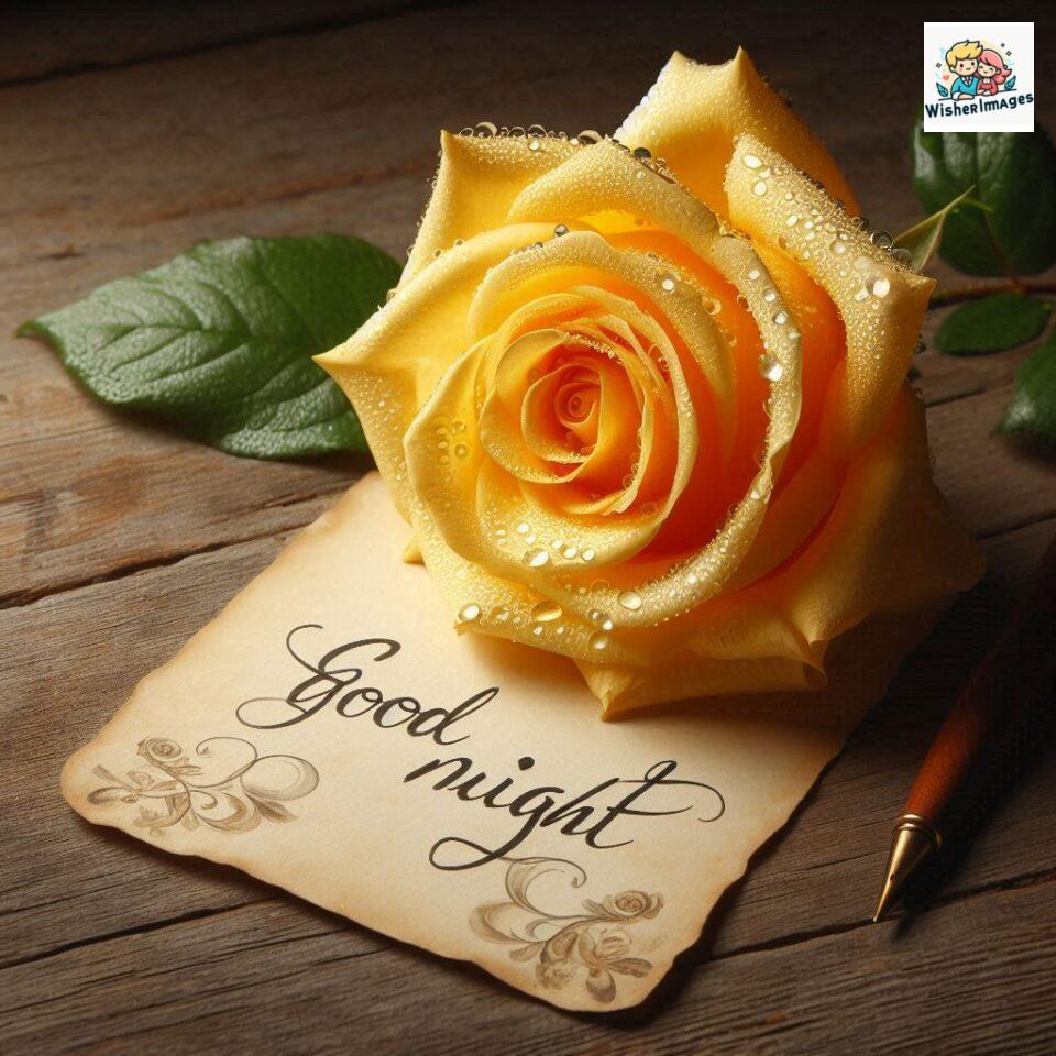 90+ Rose Good Night Images HD- Free Download 83 good night rose flower images rose good night images hd ()