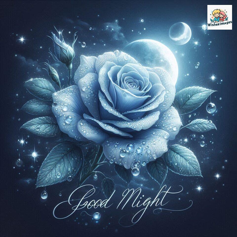 good night rose flower images rose good night images hd ()