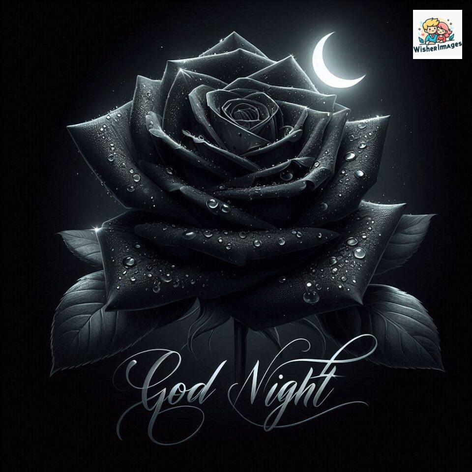 90+ Rose Good Night Images HD- Free Download 3 good night rose flower images rose good night images hd ()