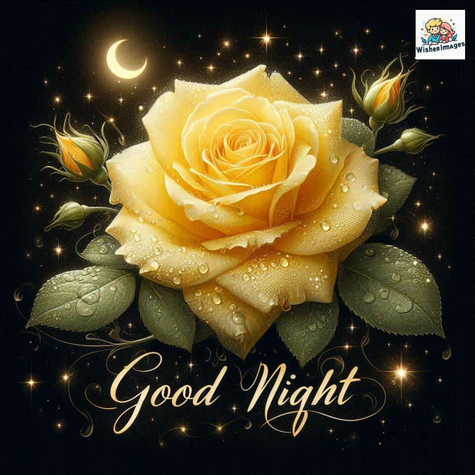 90+ Rose Good Night Images HD- Free Download 89 good night rose flower images rose good night images hd ()